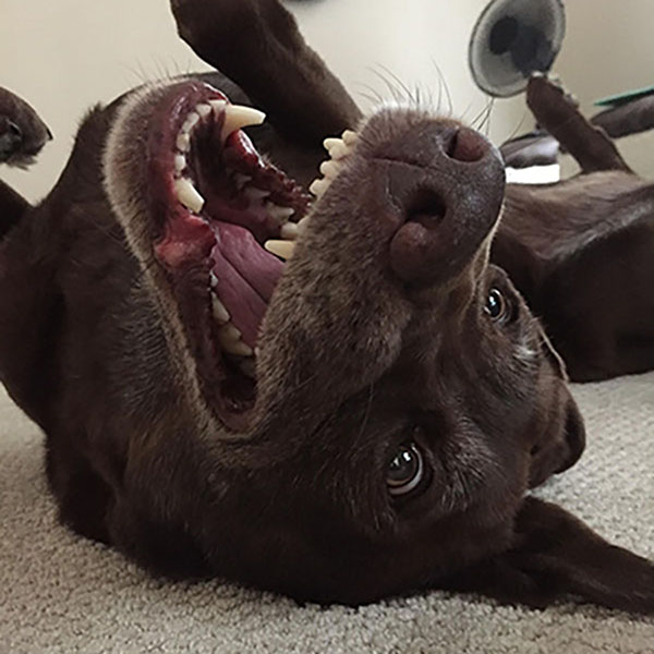Bella